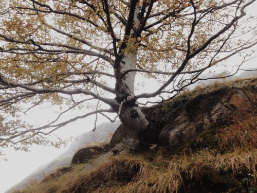 thedeerandtheoak:We spent the weekend in the Pyrenees for our first year anniversary (which is actua