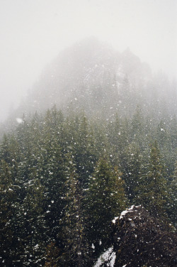 captivesouls:  Nature