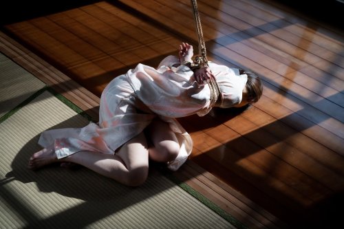 justscreenshots:  Shibari &amp; Photo Kitaro Kasukabe Model 潤  