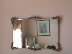 volare-cor-draco:  After ten years I am now aware that my grandparents have a living room that is very pink. 