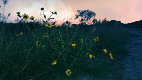 South Texas is such a pretty place when the sun goes down.