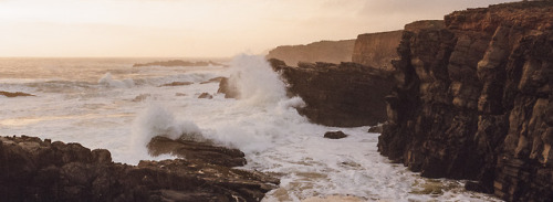 scenes from camping on the coast last weekend.hasselblad xpan, portra 800