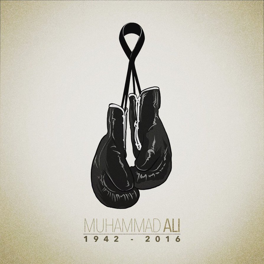 herochan:  R.I.P. Muhammad AliArt by Alberto Arni || FB  
