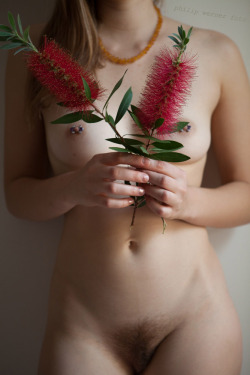 nakedwithflowers:  Some native Bottlebrush