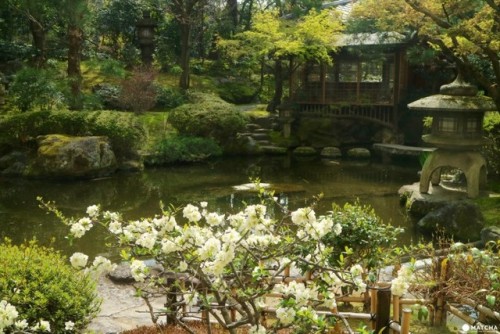  Kyoto Heian Hotel’s Japanese Garden - Top Ranked By A US Magazine! Located west of the Imperi