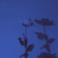 dawingof-blog