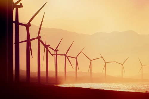 Beautiful sunset over a foggy field of wind turbines cast as silhouettes, from my shots for “Busines