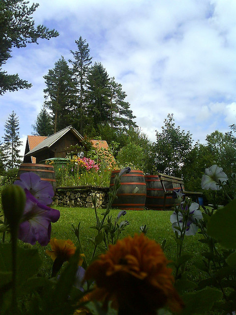 Gaint barrels in the garden, Logarska Dolina, Slovenia