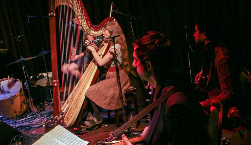 whiteshipnightjar:Joanna Newsom at Beachland Ballroom and Tavern, Cleveland, OH, USA, November 10, 2