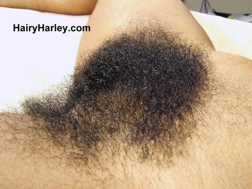 superhirsuteandbushychicks:  More Hairy Harley with her ultra super bush. 