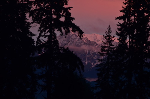 haleywillner: Mountain Dreamscape || Olympic Mountains, Washington State.  Photography by Haley