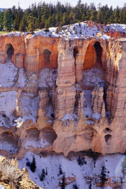 feet-of-clay: Wintery Wall of Windows