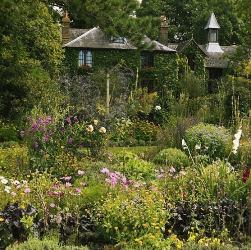 pemberlaey:Moodboard: in a secret gardenflowers peeped out amongst the leaves; snow drops, crocuses,