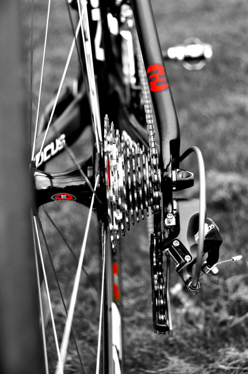 pedalitout:  @FocusBikes Cayo @EastonCycling wheels