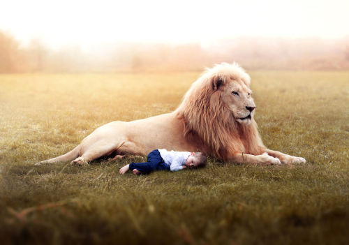 awesome-picz:  Photoghrapher Captures The Innocence Of Childhood By Photographing His Three Sons. 