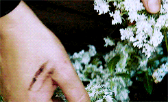 peetakmellark-deactivated201403:  “Here it’s safe, and here it’s warm, Here the daisies guard you from every harm.” 