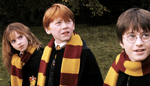 bubbagumps:The mere fact that [Ron and Hermione] were still there on either side of him, speaking br