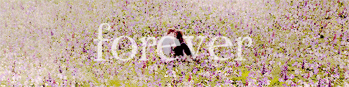 stupidlamb-s:  Bella and Edward began in a dream. The dream became words and so entered the hearts of millions. The words became moving pictures and so reached millions more. 