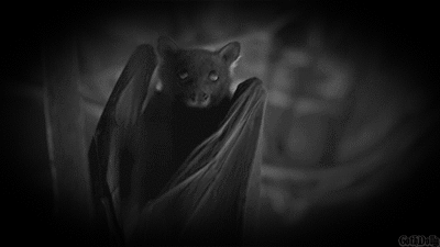 darkhexenmagick:☠ ☽ ✪ ☾~ wicked ~☽ ✪ ☾ ☠