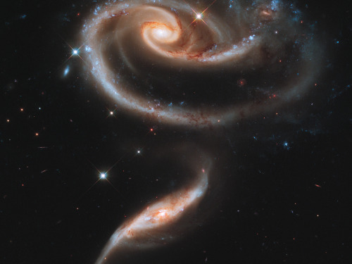 A large spiral galaxy, known as UGC 1810, with a disk that is distorted into a rose-like shape by th