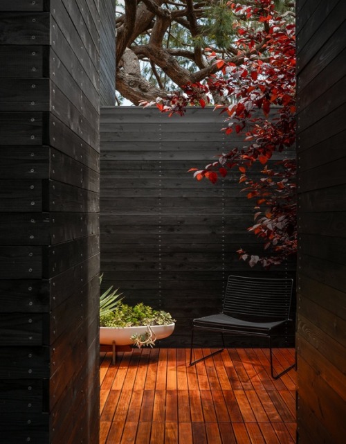 Good wood - heavenly dark tones create a lush and moody feel to this Venice Beach pad in LA, by Seba