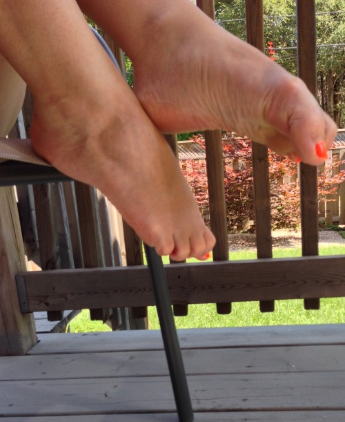 sammifeet: Here are pics teasing James in the backyard. What a lovely day.