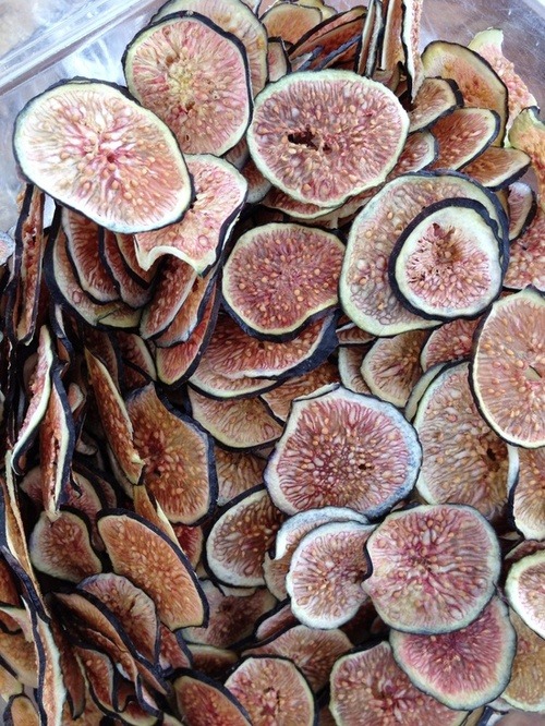 beautifulpicturesofhealthyfood:  Fig Chips…RECIPE 4-6 medium figs —- Makes 2-4