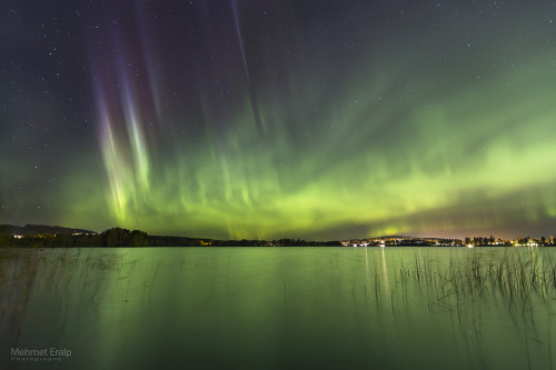 radivs:  Reflected Magic, Aurora Shower, porn pictures