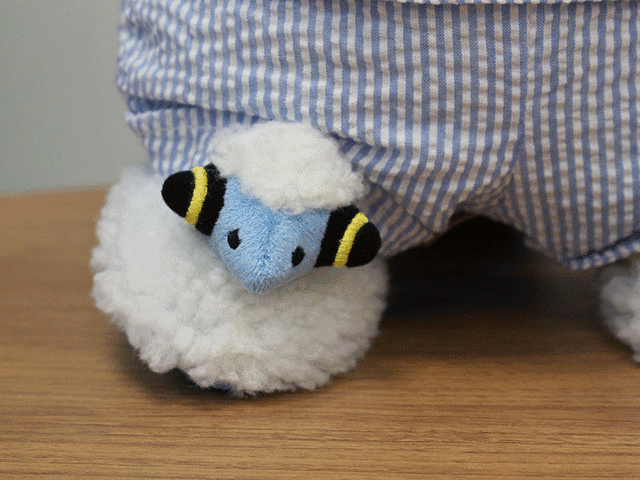 shelgon: New Images of Pikachu’s Closet Merchandise 