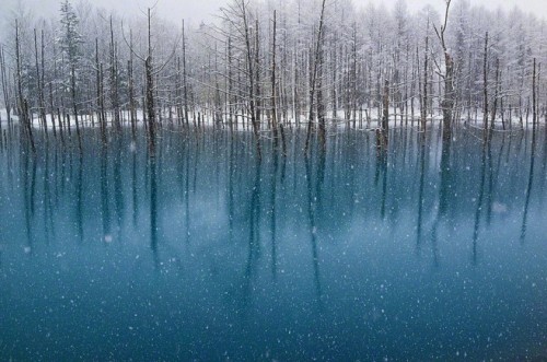 actegratuit:  The Blue Pond in Hokkaido Changes Colors Depending on the Weather “The Most Beautiful Pond In The World!” According to the photographer Ken Shiraishi, who made a pilgrimage up to Northern Japan last month to take these shots, the water