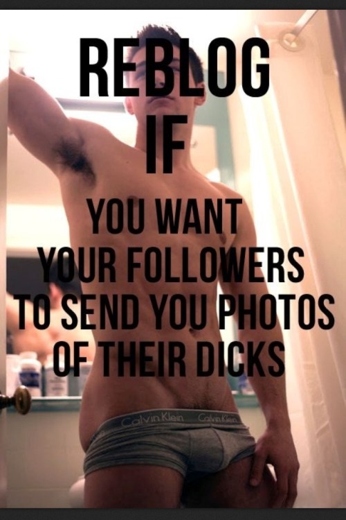 superhugedicks:  sexygayboner:  On here or on my snapchat: hookerj  Hey guys inbox me pics of your cocks  :)