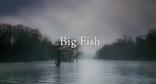Big Fish  [ 2003 ]Dir:  Tim BurtonDoP:  Philippe RousselotFULL POST (50x - 1080p screencaps)