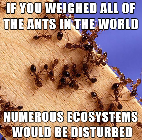 tastefullyoffensive:  Scientifically Unproven Facts [via]Previously: Amazing Ocean
