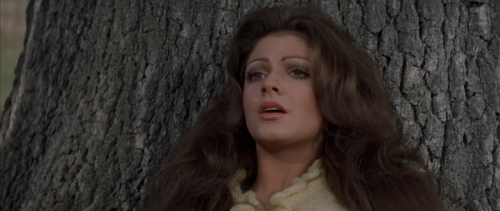 genouenne:Russ Meyer, Beyond the Valley of the Dolls (1970)