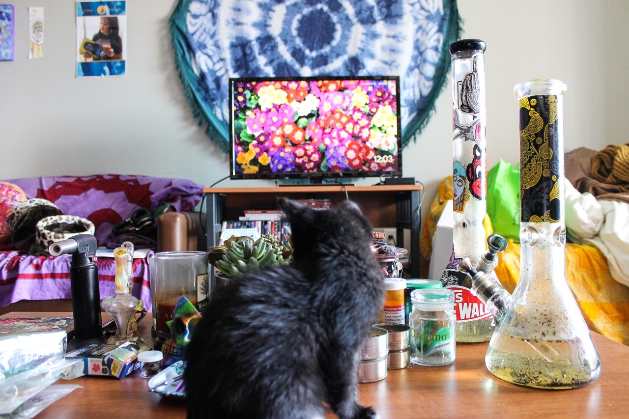 ripninhale420: Sesh table shenanigans  