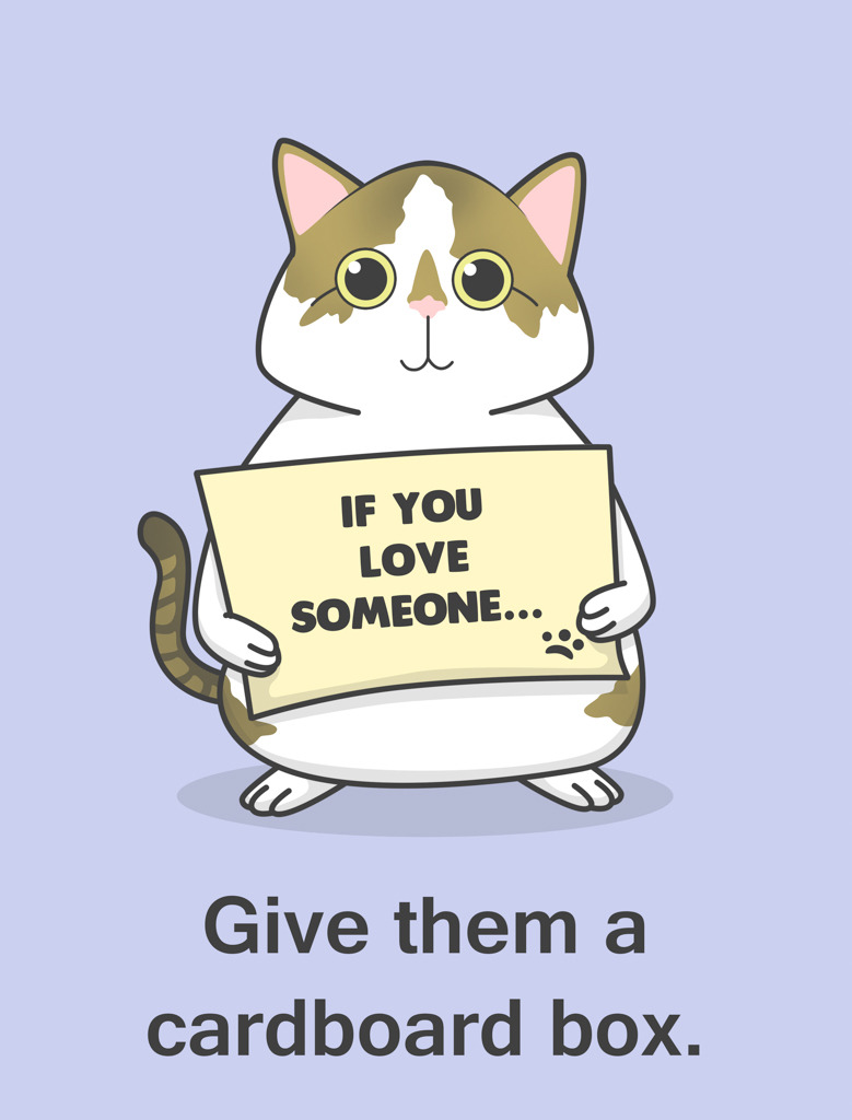aimeetrawick:  Hoppy Cat shares advice on showing affection!  