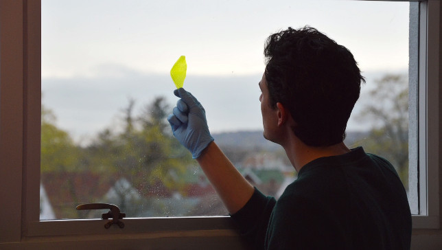 World’s first man-made photosynthetic ‘leaf’ could produce oxygen for astronauts
Breakthrough technology could make long-distance space travel feasible, clean our air here on Earth, and even combat global warming.