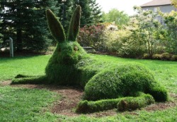 asylum-art:  The Great Hare  was installed