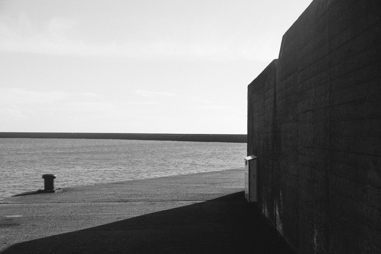 waidwund:  northsea island, germany // 10-2017