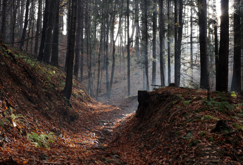 lamus-dworski:Mount Klimaska in the nature reserve covering parts of the Little Beskids mountain ran