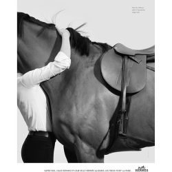 refined-equestrian:  Hermes advert 