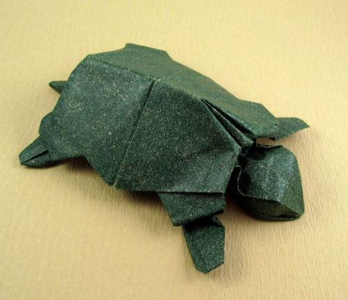 Sex paperphiliac:  Origami Turtle Designed by pictures