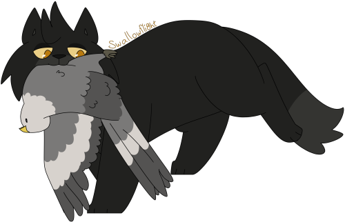 [Image Description: A digital drawing of Swallowflight from the Warrior Cats book SkyClan&r