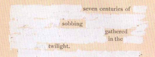 luthienne:Mary Ruefle, from “A Little White Shadow”