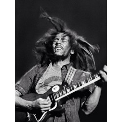 elgato305:  #bobmarley #reggae #rasta #onelove