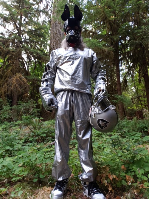 Just another shiny dog and his helmet on the hiking trail - “nothing to see here folks, move along”.