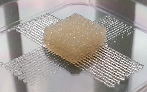  Silk bio-ink could help advance tissue engineering with 3-D printersAdvances in 3-D printing have l