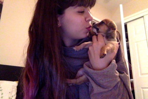 spacetea:  TINY BABY RINGO