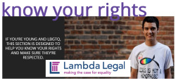 outforhealth:bisexual-community:[USA]: Know Your Rights: LGBTQ Teens &amp; Young AdultsIf you’re young, LGBTQ and live in the USA this is designed by Lambda Legal to help you know your rights and make sure they’re respected.BullyingWhat to Do If You’re