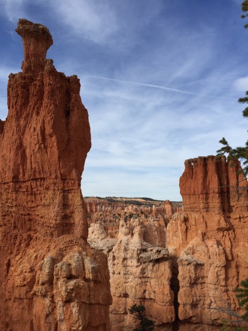 traveler-wanderer:Bryce Canyon